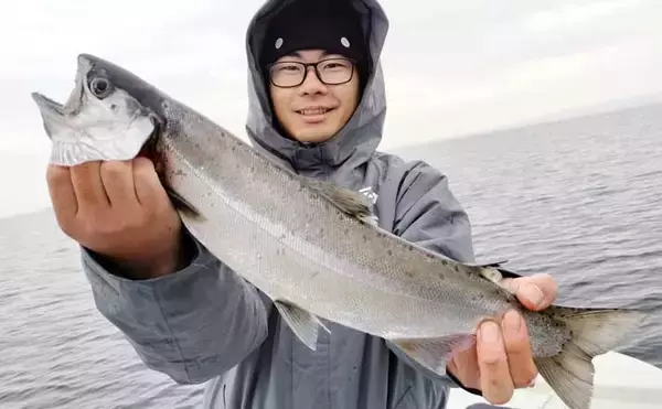 琵琶湖レイクトローリングでビワマス10匹好捕！【滋賀】50cm迫る良型連発