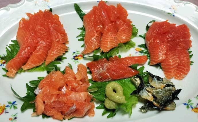 琵琶湖レイクトローリングでビワマス10匹好捕！【滋賀】50cm迫る良型連発