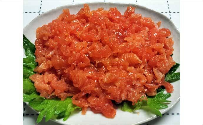 琵琶湖レイクトローリングでビワマス10匹好捕！【滋賀】50cm迫る良型連発