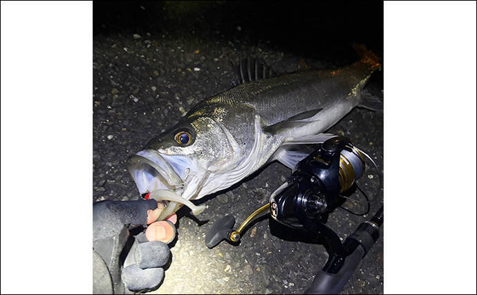 「厳冬期でも魚は釣れる？」 大阪湾沿岸の陸っぱり釣りの近況をまとめて紹介