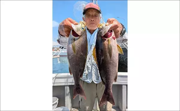 「40〜50cmの関アジ&関サバが好ヒット中！【船釣り最新情報5選・大分／熊本】」の画像