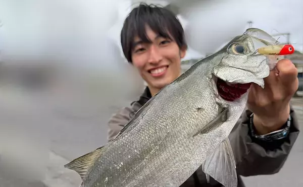 湘南河川トップゲームでまさかのヒラスズキがヒット【神奈川】大量の見えチヌは意外と難敵？