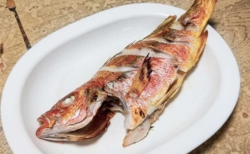 釣った魚で作る「冷蔵庫干し」レシピ：ヨコスジフエダイのちょい干し
