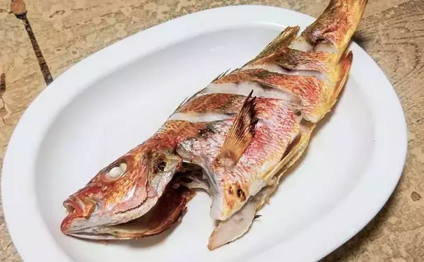 釣った魚で作る「冷蔵庫干し」レシピ：ヨコスジフエダイのちょい干し