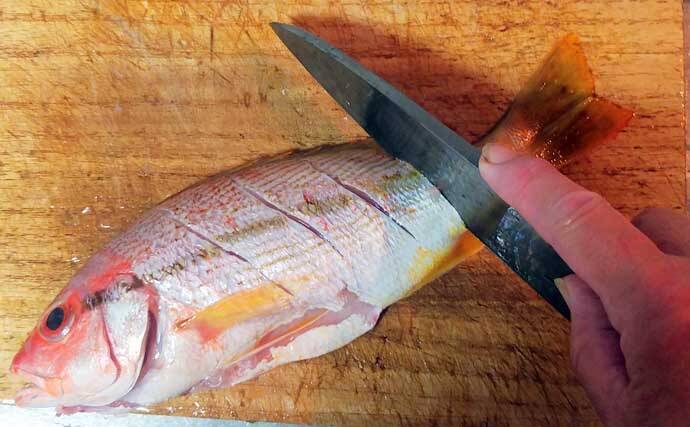 釣った魚で作る「冷蔵庫干し」レシピ：ヨコスジフエダイのちょい干し
