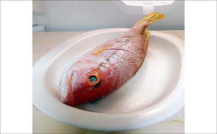 釣った魚で作る「冷蔵庫干し」レシピ：ヨコスジフエダイのちょい干し