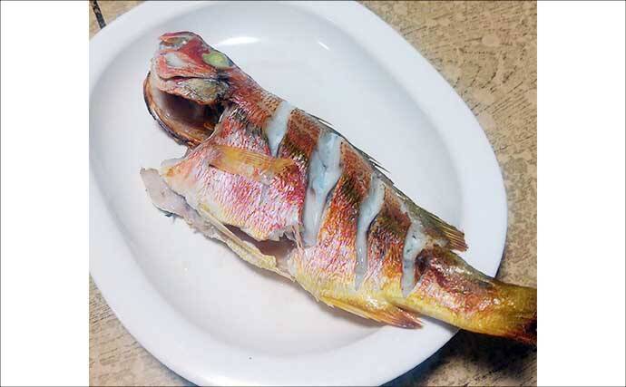 釣った魚で作る「冷蔵庫干し」レシピ：ヨコスジフエダイのちょい干し