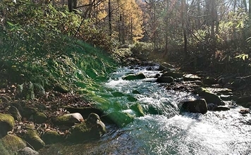 渓流釣りに欠かせない【クマ対策の必需品4選】　効果と限界を知ろう