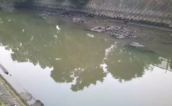 「身近な小河川で楽しむ【プチマゴチ釣り解説】　サーフ以外でも釣れる？」の画像