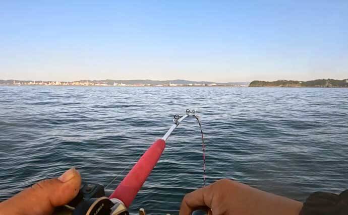 和歌山沖のアマダイ釣りで45cm超え登場！　浅場攻略で良型続出