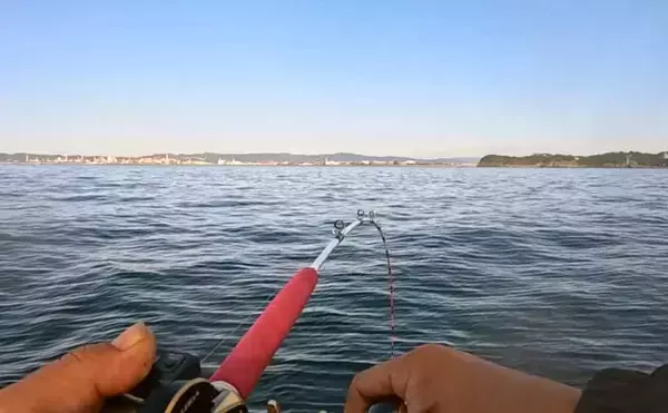 「和歌山沖のアマダイ釣りで45cm超え登場！　浅場攻略で良型続出」の画像