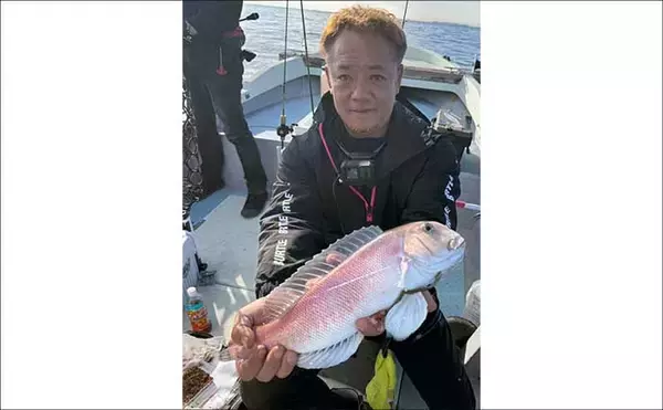 「和歌山沖のアマダイ釣りで45cm超え登場！　浅場攻略で良型続出」の画像