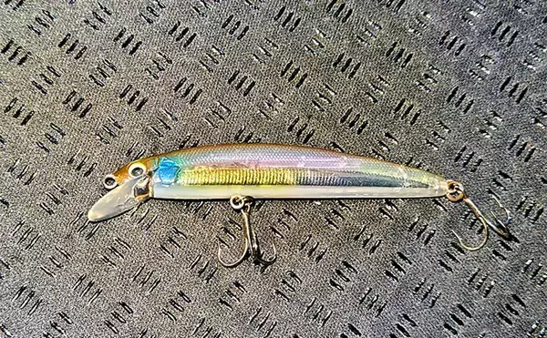 「河川のバチパターン高実績ルアー3選　おすすめカラーと釣り方も解説」の画像