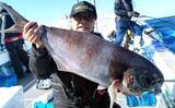 「【沖釣り釣果速報】玄界灘のテンビン五目で6〜9kg級大型メダイ続々浮上！（福岡）」の画像1