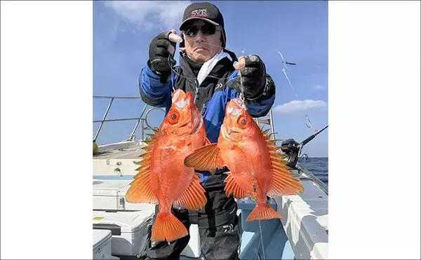 「【沖釣り釣果速報】玄界灘のテンビン五目で6〜9kg級大型メダイ続々浮上！（福岡）」の画像