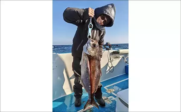 「【沖釣り釣果速報】玄界灘のテンビン五目で6〜9kg級大型メダイ続々浮上！（福岡）」の画像