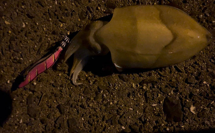 リーダーの長さの新基準は「肩幅」で決まり？　ショートリーダーのメリットを紹介