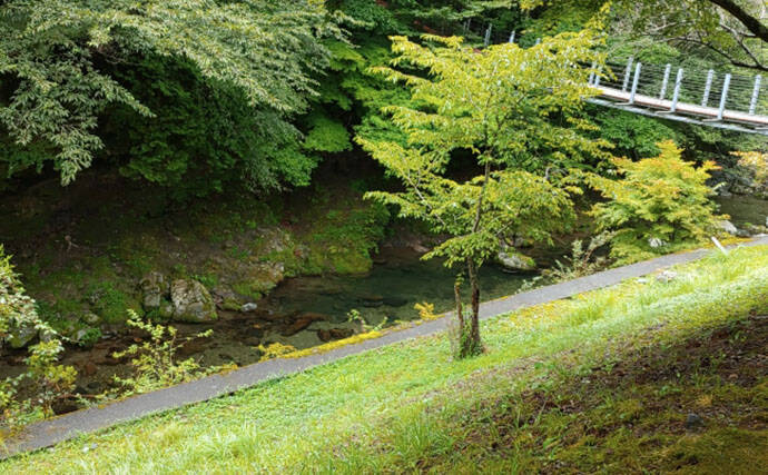 「なぜ釣れない？」渓流エサ釣りで釣果が伸びない理由を3つの視点から徹底解説
