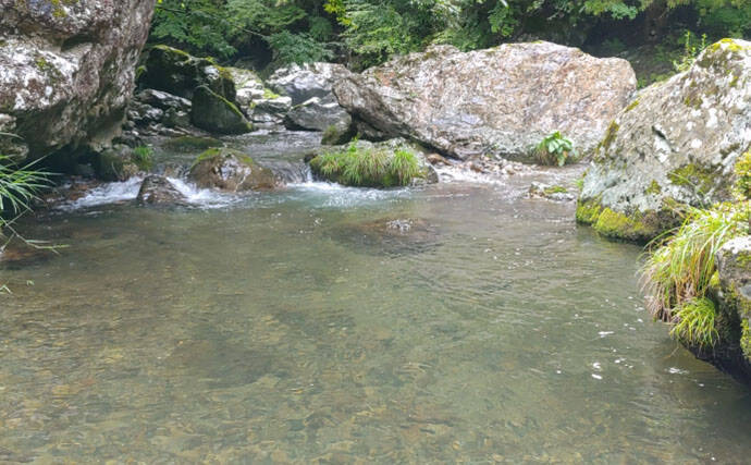 「なぜ釣れない？」渓流エサ釣りで釣果が伸びない理由を3つの視点から徹底解説