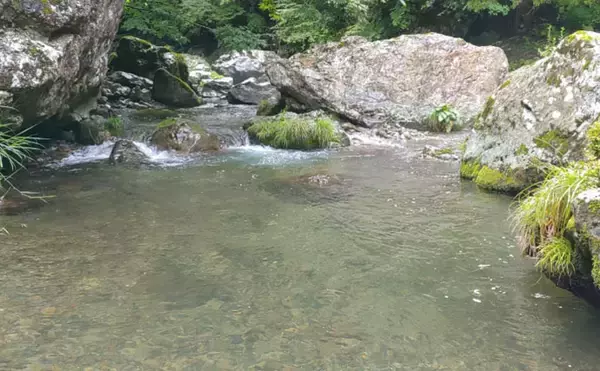 「「なぜ釣れない？」渓流エサ釣りで釣果が伸びない理由を3つの視点から徹底解説」の画像
