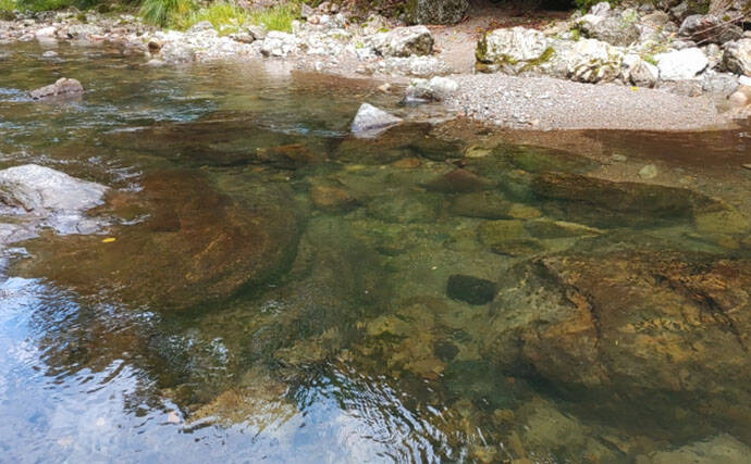 「なぜ釣れない？」渓流エサ釣りで釣果が伸びない理由を3つの視点から徹底解説