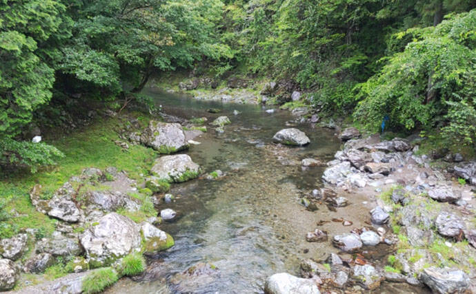 「なぜ釣れない？」渓流エサ釣りで釣果が伸びない理由を3つの視点から徹底解説