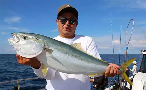 「丹後エリアの【ディープタイラバ】秋の陣に熱視線　青物混じりで大ダイ連発も」の画像