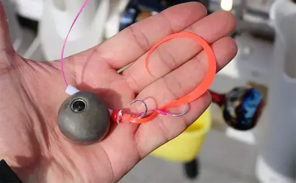 「丹後エリアの【ディープタイラバ】秋の陣に熱視線　青物混じりで大ダイ連発も」の画像