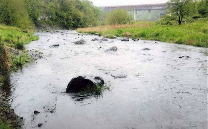 鮎（アユ）友釣りオススメ河川ガイド2024：桂川水系【山梨】大型の数釣りができる年も