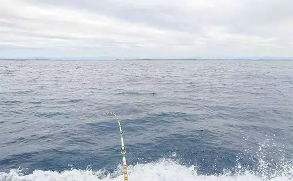 「リレー便でタチウオ11匹＆良型アジ15匹を手中【静岡・わし丸】台風明けの海で好スタート」の画像