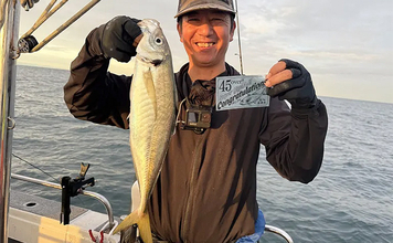 47cmギガアジ堂々浮上！【大阪】DEEPバチコンアジングで大型アジが船中連発