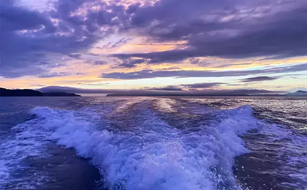 「47cmギガアジ堂々浮上！【大阪】DEEPバチコンアジングで大型アジが船中連発」の画像