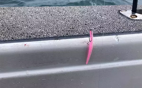 「47cmギガアジ堂々浮上！【大阪】DEEPバチコンアジングで大型アジが船中連発」の画像