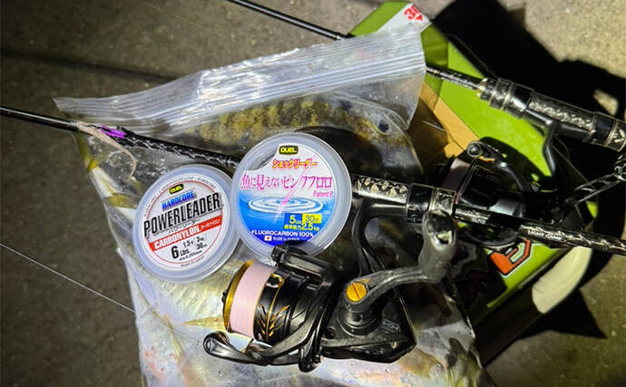 アジングで31cm頭に良型アジ2桁釣果【熊本・天草】キャロとジグ単の使い分けで速い潮流を攻略