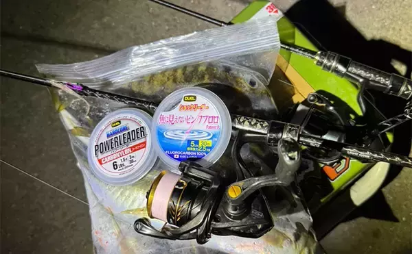 「アジングで31cm頭に良型アジ2桁釣果【熊本・天草】キャロとジグ単の使い分けで速い潮流を攻略」の画像