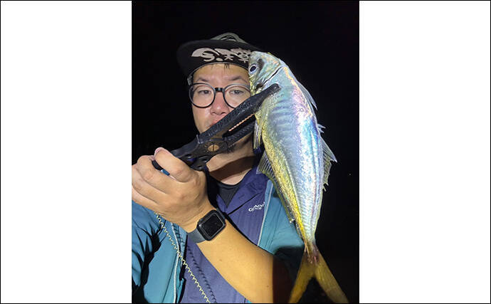 アジングで31cm頭に良型アジ2桁釣果【熊本・天草】キャロとジグ単の使い分けで速い潮流を攻略