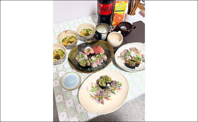 アジングで31cm頭に良型アジ2桁釣果【熊本・天草】キャロとジグ単の使い分けで速い潮流を攻略