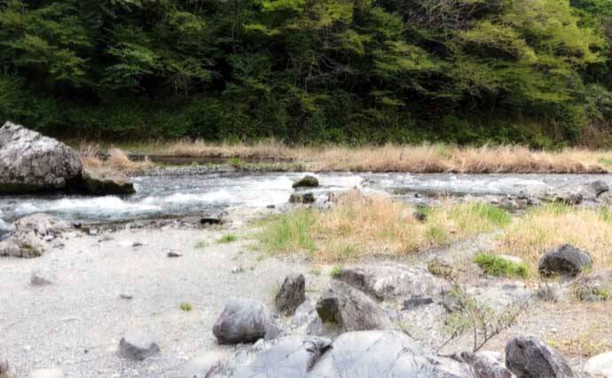 奥多摩川の渓流釣り解禁！　本支流の放流ポイント＆狙い場まとめ【東京都】