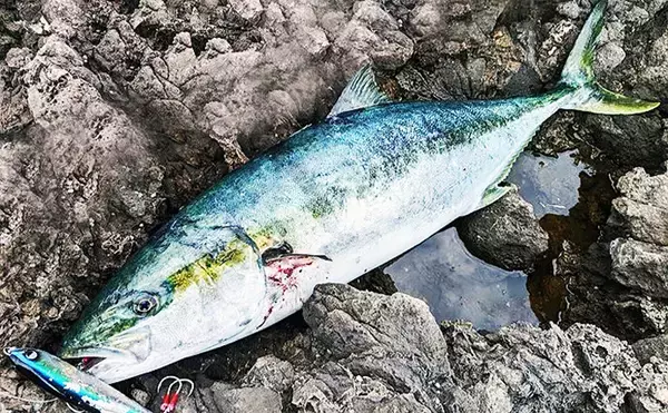 「釣り遠征するなら急がば回れ！」 長時間の車移動で気を付ける事4選