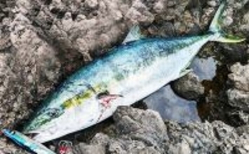 「釣り遠征するなら急がば回れ！」 長時間の車移動で気を付ける事4選