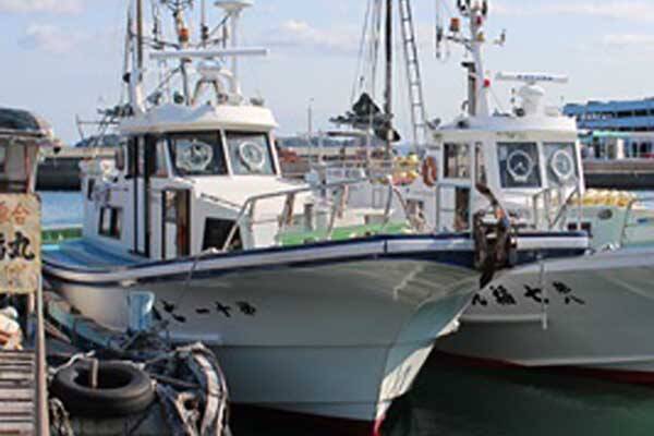 今週の『船釣り情報』特選釣果　エサ取り名人「カワハギ＆フグ」と勝負