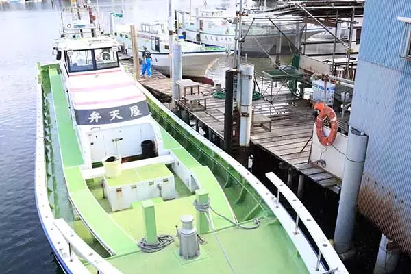 「今週の『船釣り情報』特選釣果　エサ取り名人「カワハギ＆フグ」と勝負」の画像