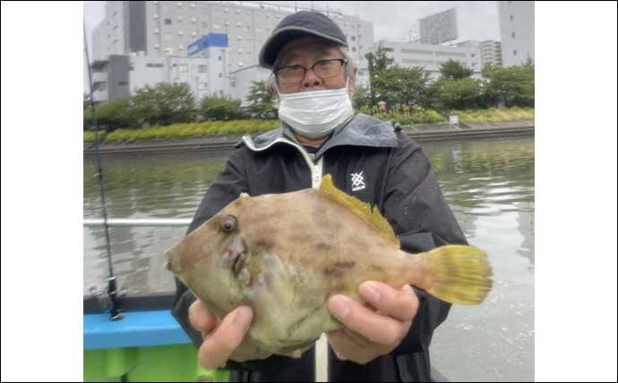 今週の『船釣り情報』特選釣果　エサ取り名人「カワハギ＆フグ」と勝負