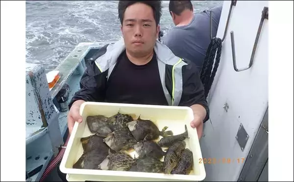 「今週の『船釣り情報』特選釣果　エサ取り名人「カワハギ＆フグ」と勝負」の画像