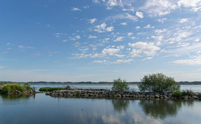 こっそり増える不気味な外来魚『ダントウボウ』　なぜ日本にいるの？