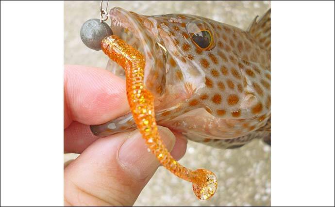 南伊勢エリアのライトソルトゲームで20目達成！【三重】オオモンハタやギンガメアジが爆釣