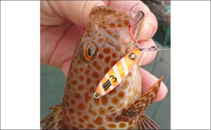 南伊勢エリアのライトソルトゲームで20目達成！【三重】オオモンハタやギンガメアジが爆釣