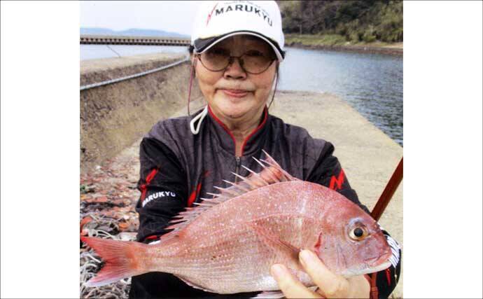 波止での投げ釣りで38cmマダイに20cm超えキスを手中！【鷹島・長崎】