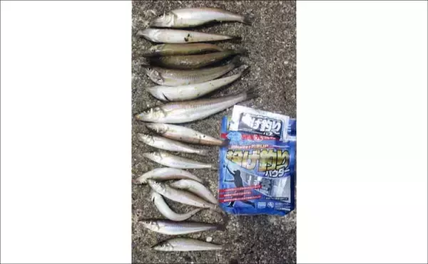 「波止での投げ釣りで38cmマダイに20cm超えキスを手中！【鷹島・長崎】」の画像