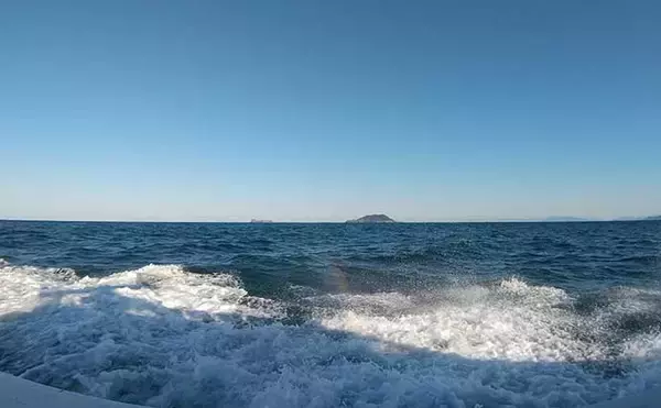 「京都のブランド魚「若狭グジ」と「京サワラ」を沖のルアー釣りで狙う」の画像